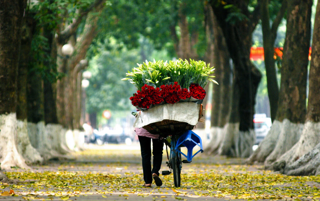 Glosbe-flower EMOI Vietnam Travel