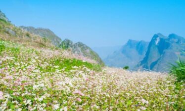 dong-van-ha-giang-2 EMOI VIETNAM TRAVEL