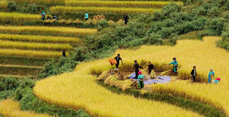 villages-de-ta-van-EMOI VIETNAM TRAVEL