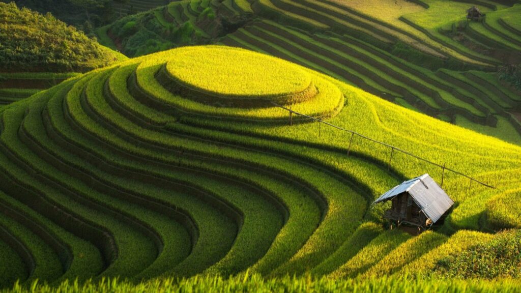 wallpaper EMOI VIETNAM TRAVEL