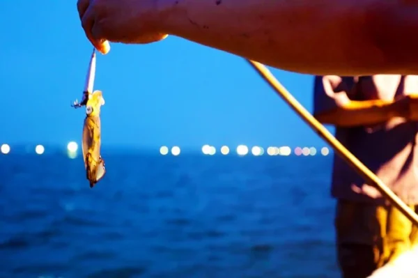 PHU QUOC SUNSET - NIGHT SQUID FISHING - Image 3